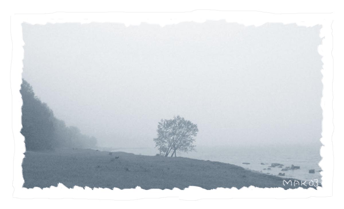 foggy