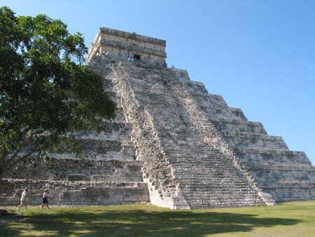 Из коллекции древних муравейников