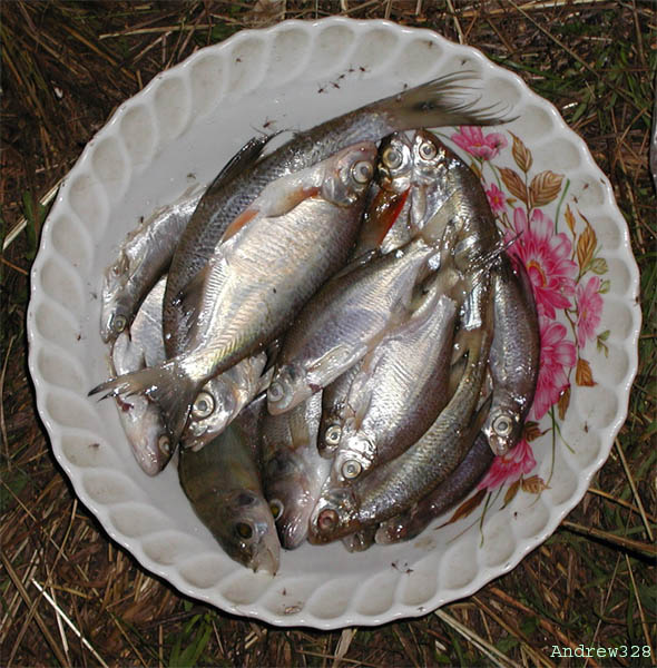Рыбья доля