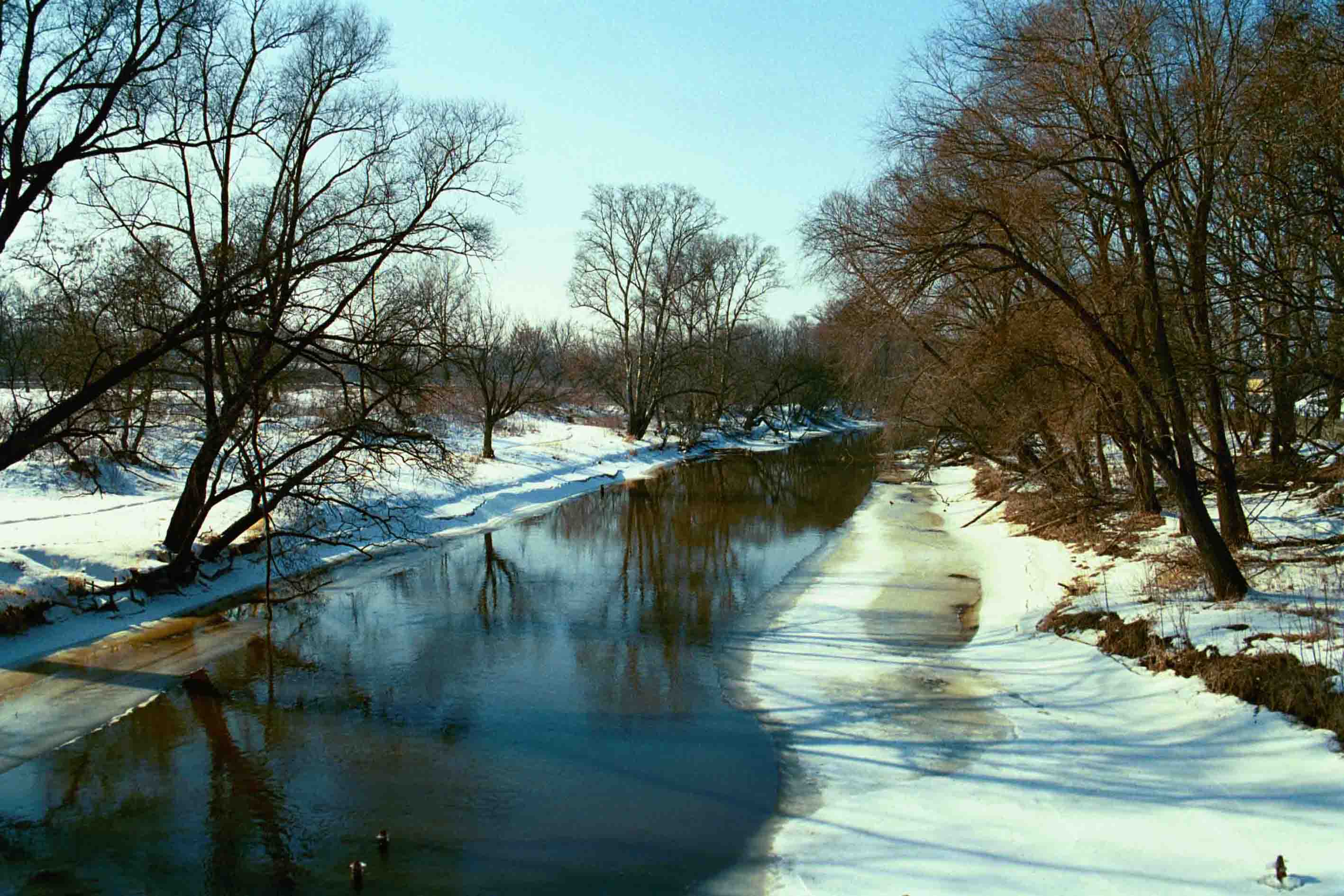 весна