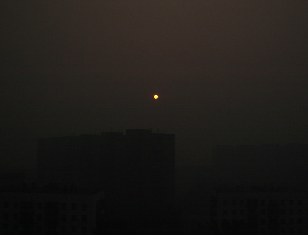 московсие торфянники