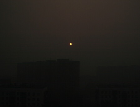 московсие торфянники