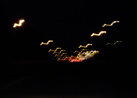 ночные птицы