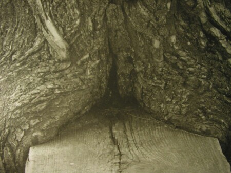 Деревенское ню