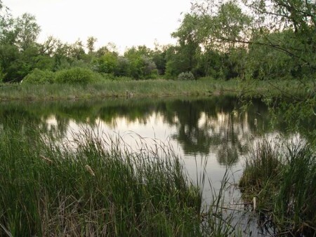 Зеркало воды