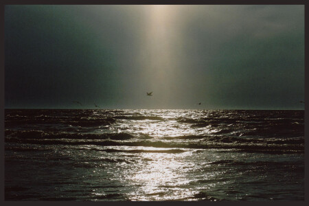 Ray of light