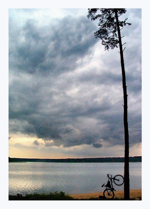 Сосна, велосипед, вода и НЕБО.
