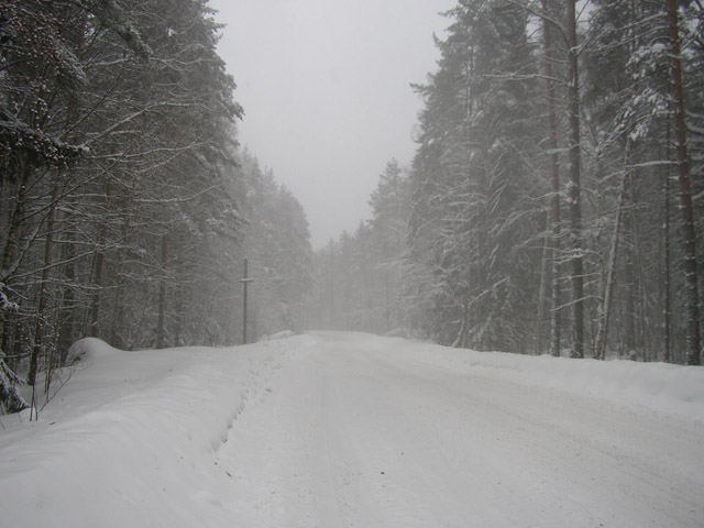 Дорога