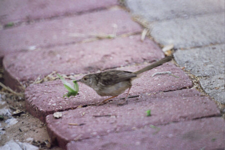 Проголодалась