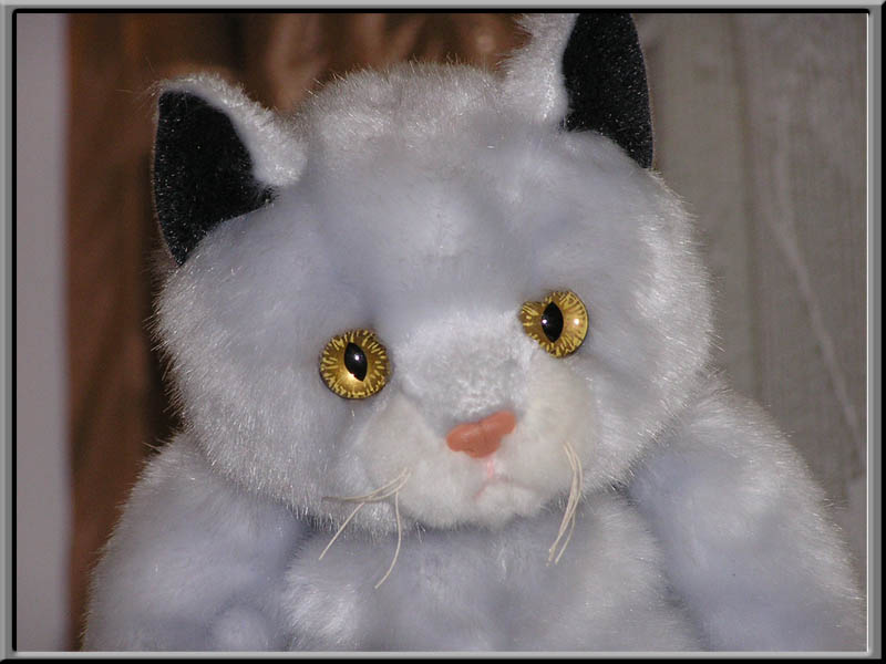 Котофей