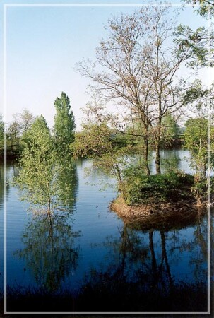 Высокая вода