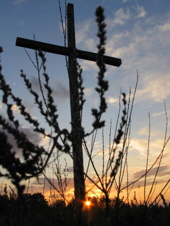 На пересечении стихий жизни