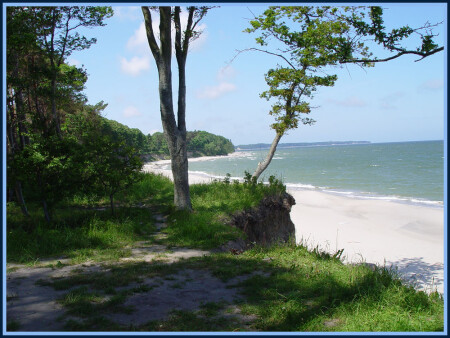 Балтийский берег, зеленая волна