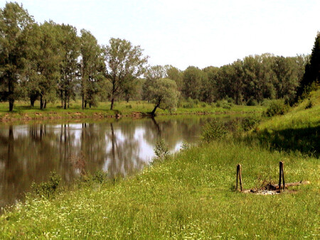 Добро пожаловать