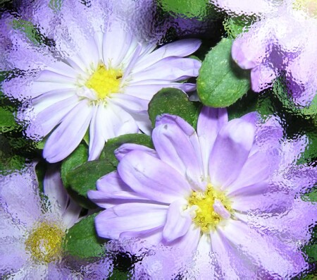 Под стеклом