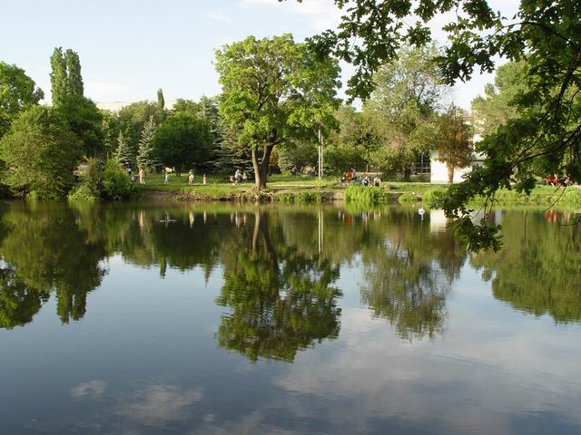 Зеркало мира