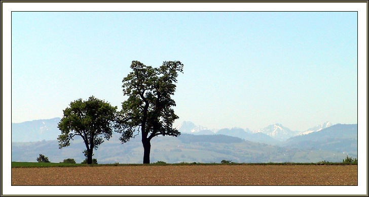 A Simple Landscape