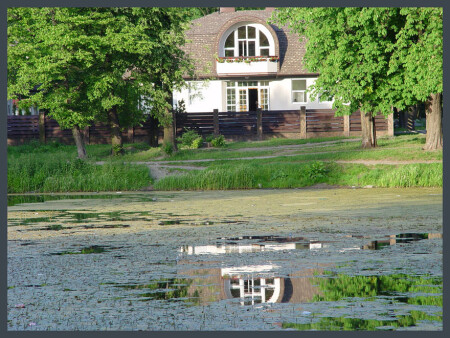 Отражение жизни