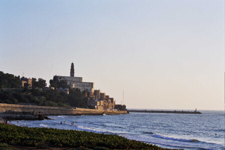 Yaffa "Andromeda"
