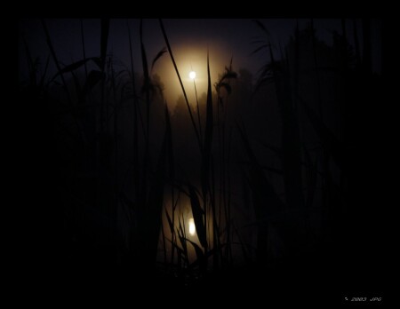 в сердце луны