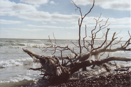 Балтика, зима