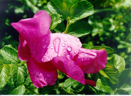 У природы нет плохой погоды...