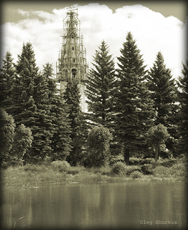 В лесах