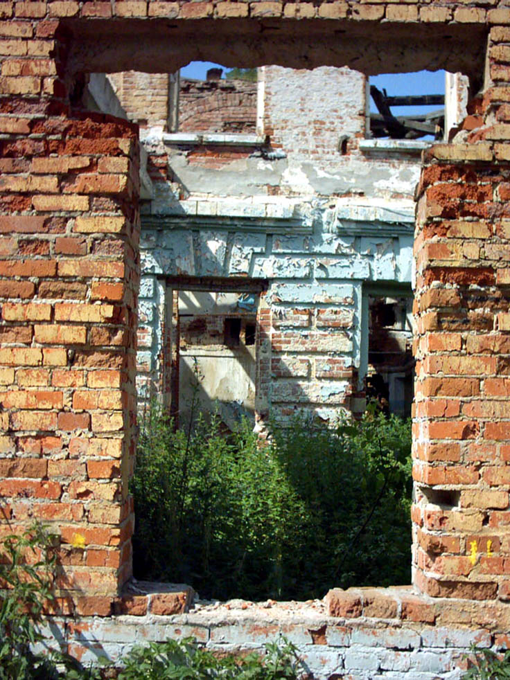 windows