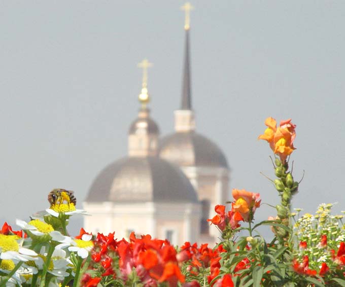 жизнь