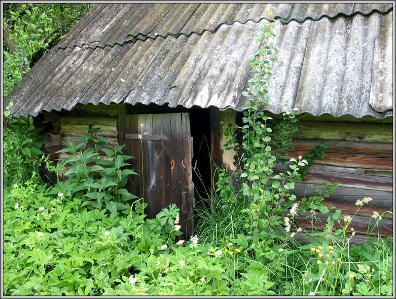 Старая пчельня.