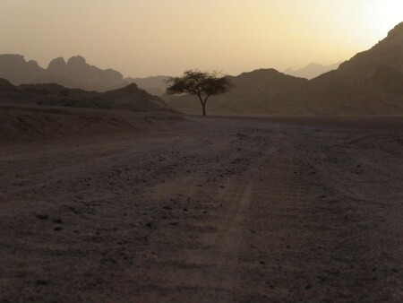 Синай. Закат