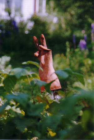 Виват отдых на даче!