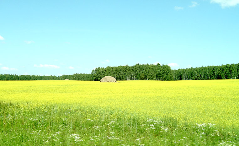 пасторальная открытка