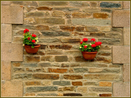 The Wall