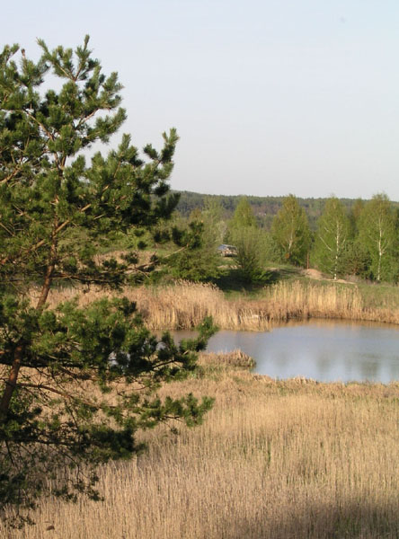 пейзаж меж двух озер(2)