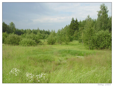 Обычный среднерусский пейзаж