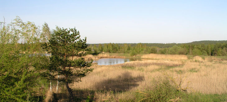 пейзаж меж двух озер(3)