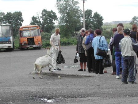 Кто крайний?