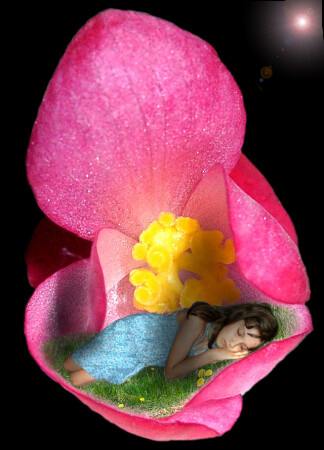 Дюймовочка