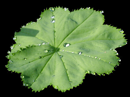 Просто манжетка