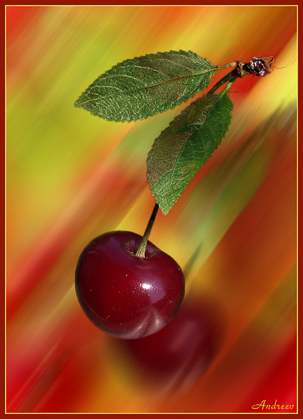 Cherry