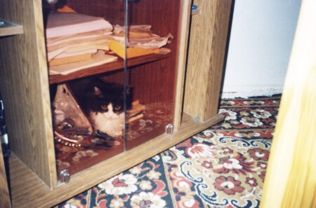 Живу я здесь...:-)