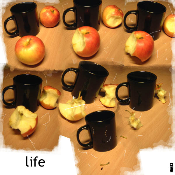 LI-FE