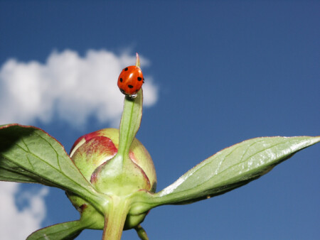 Бесконечность