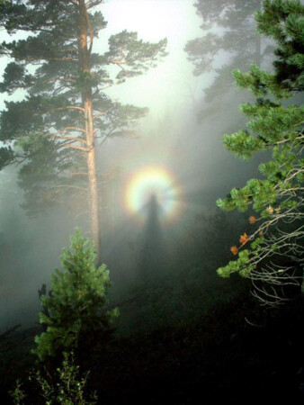 В истоках радуги