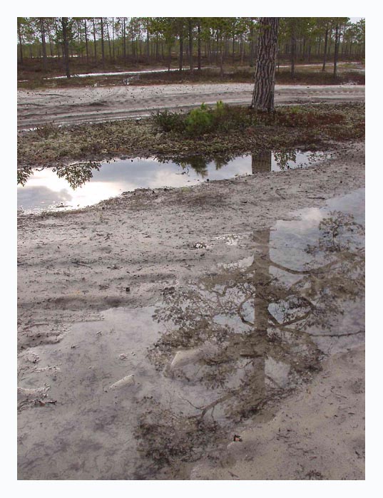 отражение