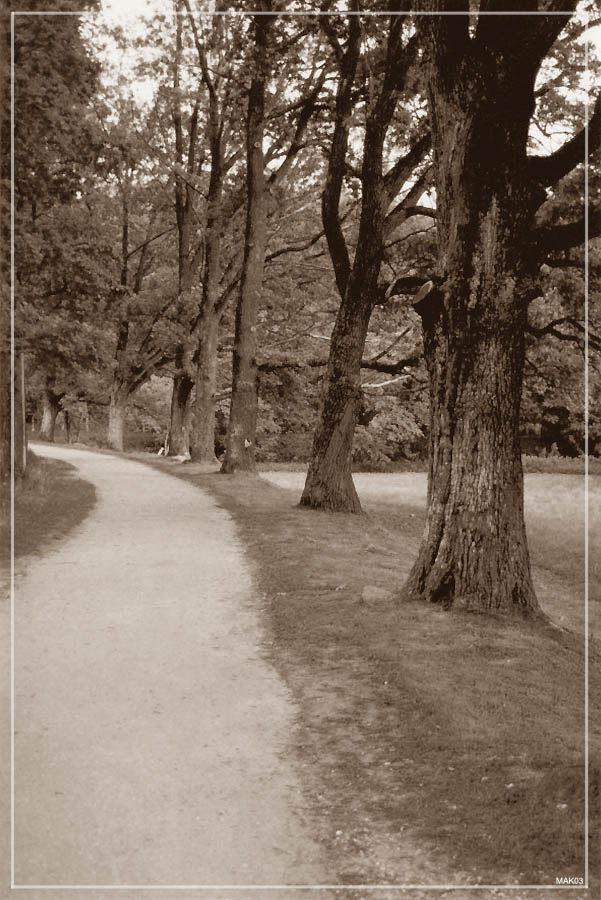 uno duo trees