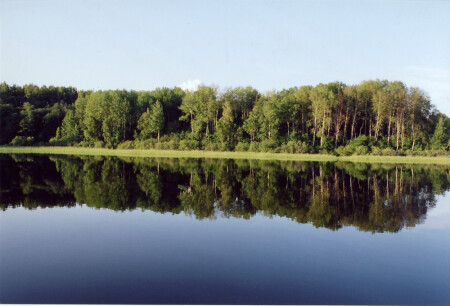 Зеркало природы
