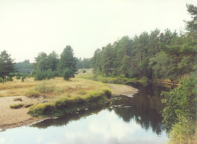 р.Хвойная