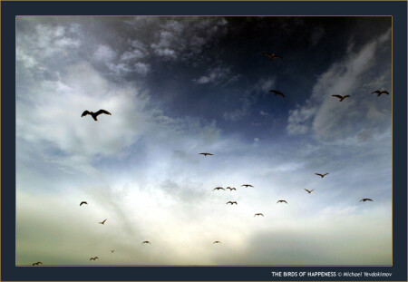 Птицы счастья